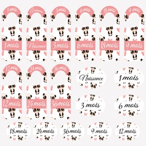 Panda themed baby wardrobe divider 9 garment dividers plus 9 drawer wardrobe labels, birth gift