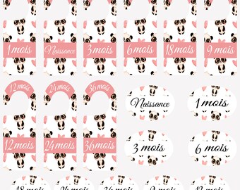 Panda themed baby wardrobe divider 9 garment dividers plus 9 drawer wardrobe labels, birth gift