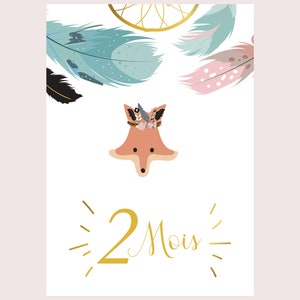 Cartes étape bébé ma première année mois par mois lot de 14 cartes en papier photo idéal cadeau naissance baby shower image 3