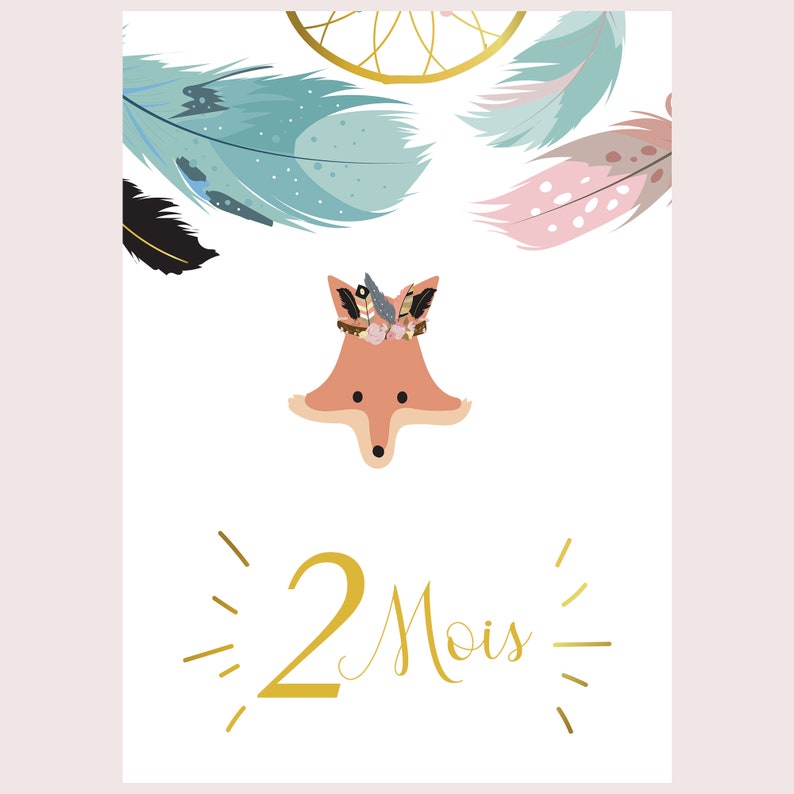 Cartes étape bébé ma première année mois par mois lot de 14 cartes en papier photo idéal cadeau naissance baby shower image 3
