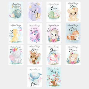 Cartões de marcos do bebê, meu primeiro ano, mês a mês, em papel fotográfico, presente de chá de bebê de nascimento ideal Aquarelle fille