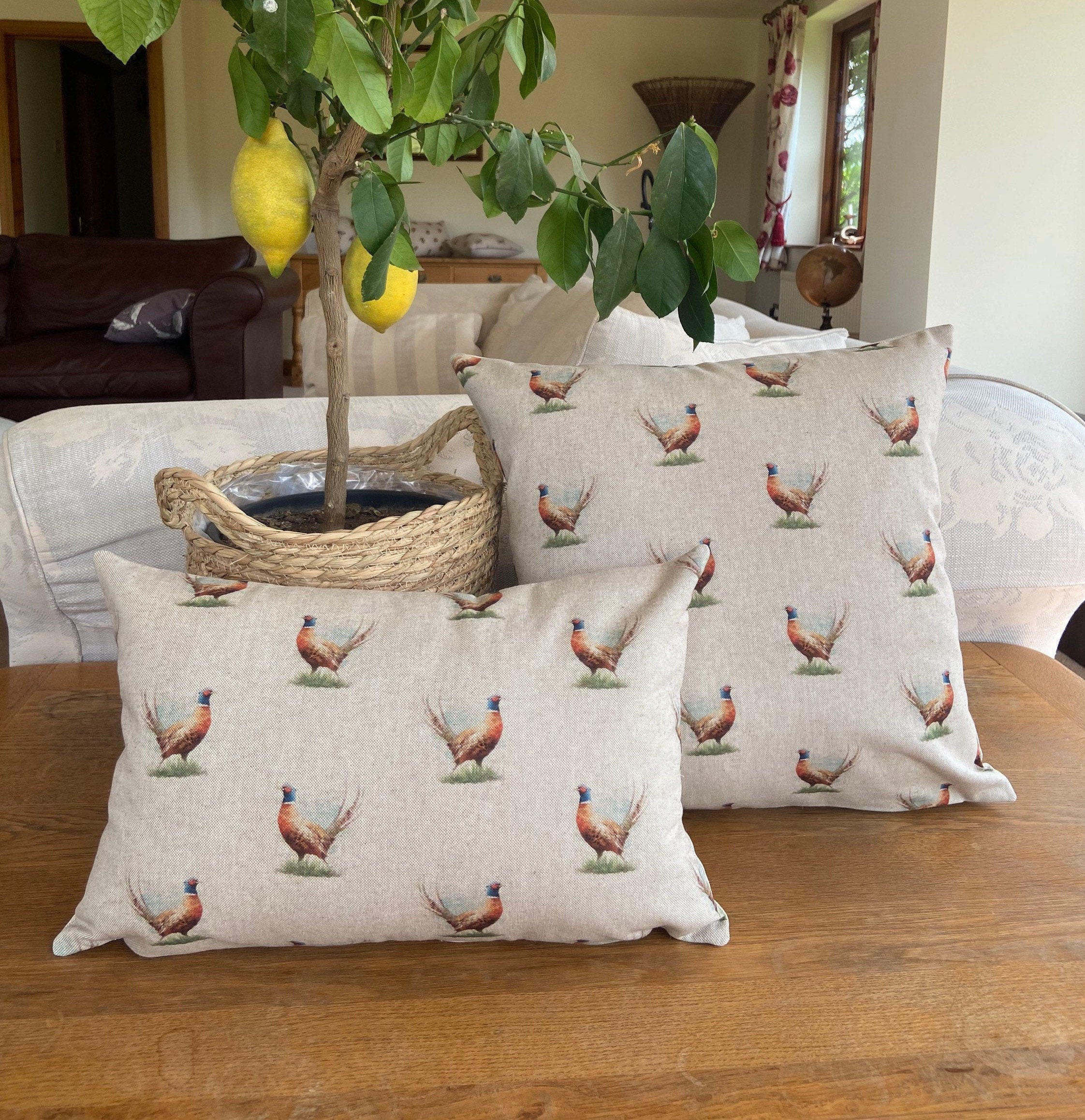 small oblong cushions