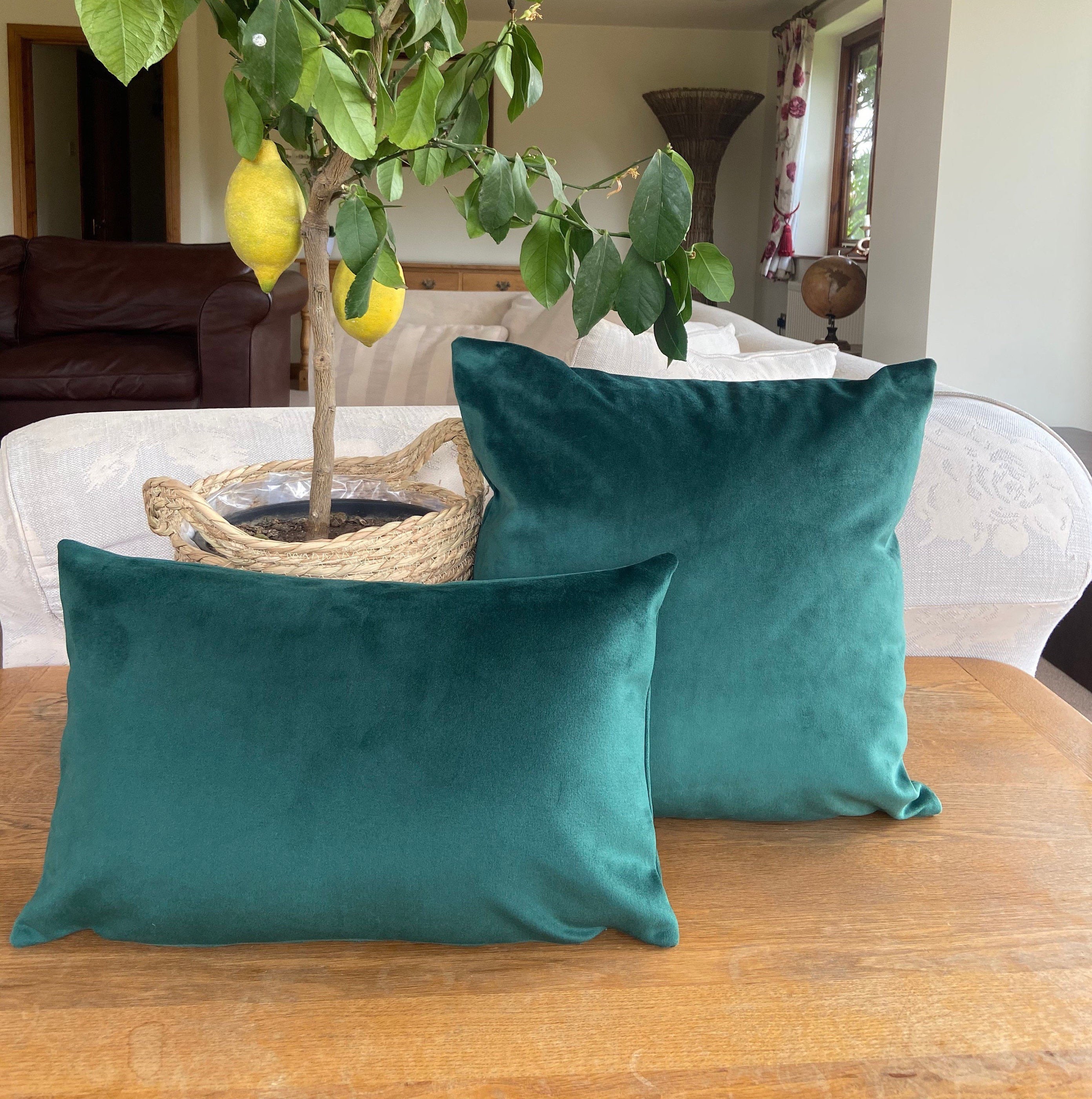 Emerald Green Plush Velvet Cushions in Square and Oblong Etsy