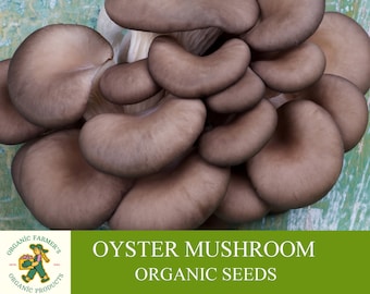 Oyster Mushroom Organic Seeds, 50+ Count Pleurotus ostreatus Seeds, Plant Seeds for Garden and Pot, Non-GMO Heirloom, Open Pollination