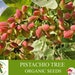 see more listings in the Graines de fruits biologiques section