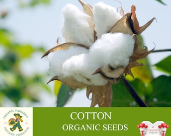 Cotton Organic Seeds, 20+ Count Cotton Seed, Cotton Plant Seeds for Garden and Pot, Non-GMO - Heirloom, Open Pollination