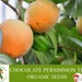 see more listings in the Semillas de frutas orgánicas section