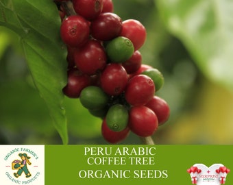 Peru Arabic Coffee Tree Organic Seeds, 10+ Count Peru Coffee Tree Seed, Coffee Plant for Pot and Garden, Non-GMO - Heirloom