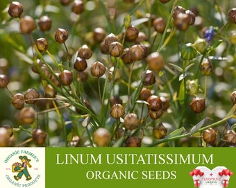 Linum Usitatissimum Organic Seeds, 200+ Count Flax Seeds, Linum usitatissimum Plant for Pot and Garden, Non-GMO - Heirloom, Open Pollination