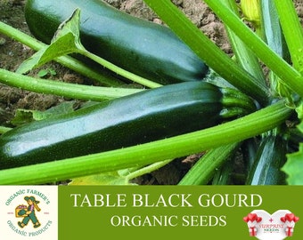 Table Gourd Organic Seeds, 30+ Count Table Gourd Seeds, Black Gourd Plant Seeds for Pot and Garden, Non-GMO - Heirloom, Open Pollination