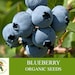 see more listings in the Graines de fruits biologiques section