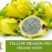 see more listings in the Graines de fruits biologiques section