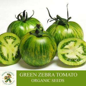 Green Zebra Tomato Organic Seeds, 5 Count Green Zebra Tomato Seeds, Home Gardening, High Germination, Easy to Grow, Non-GMO Heirloom