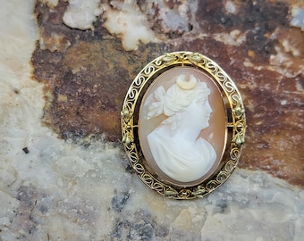 May include: A gold cameo brooch with a detailed ornate frame and a white cameo of a woman's profile. The cameo is set in a gold oval frame with a delicate floral design.
