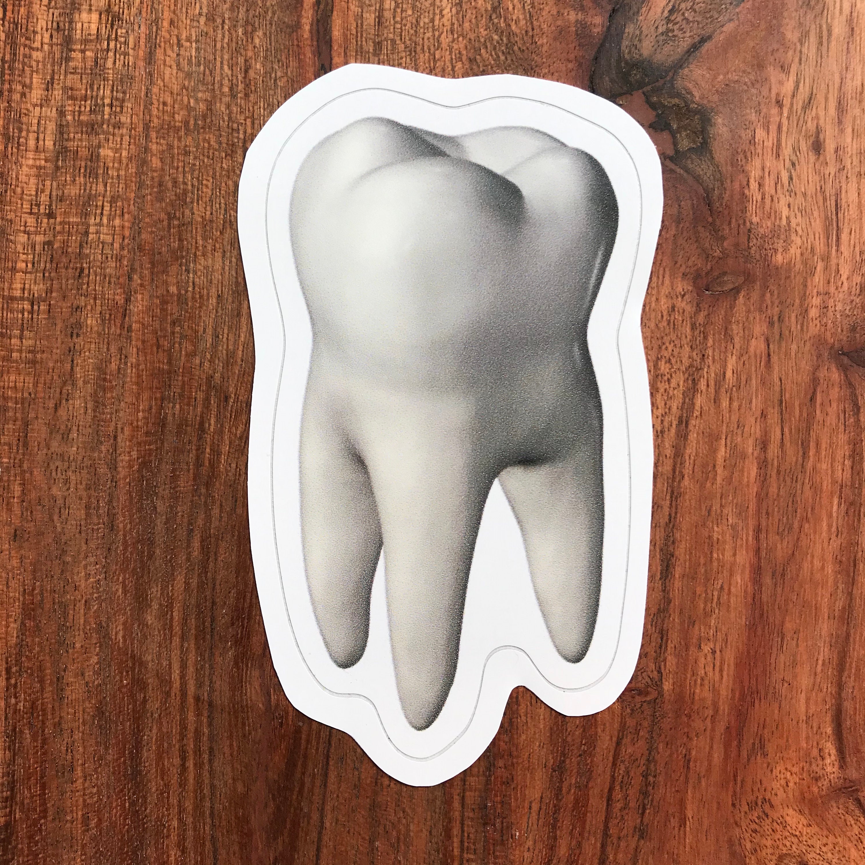 Tooth Sticker, Molar Sticker, Dental Sticker, Laptop Sticker - Etsy