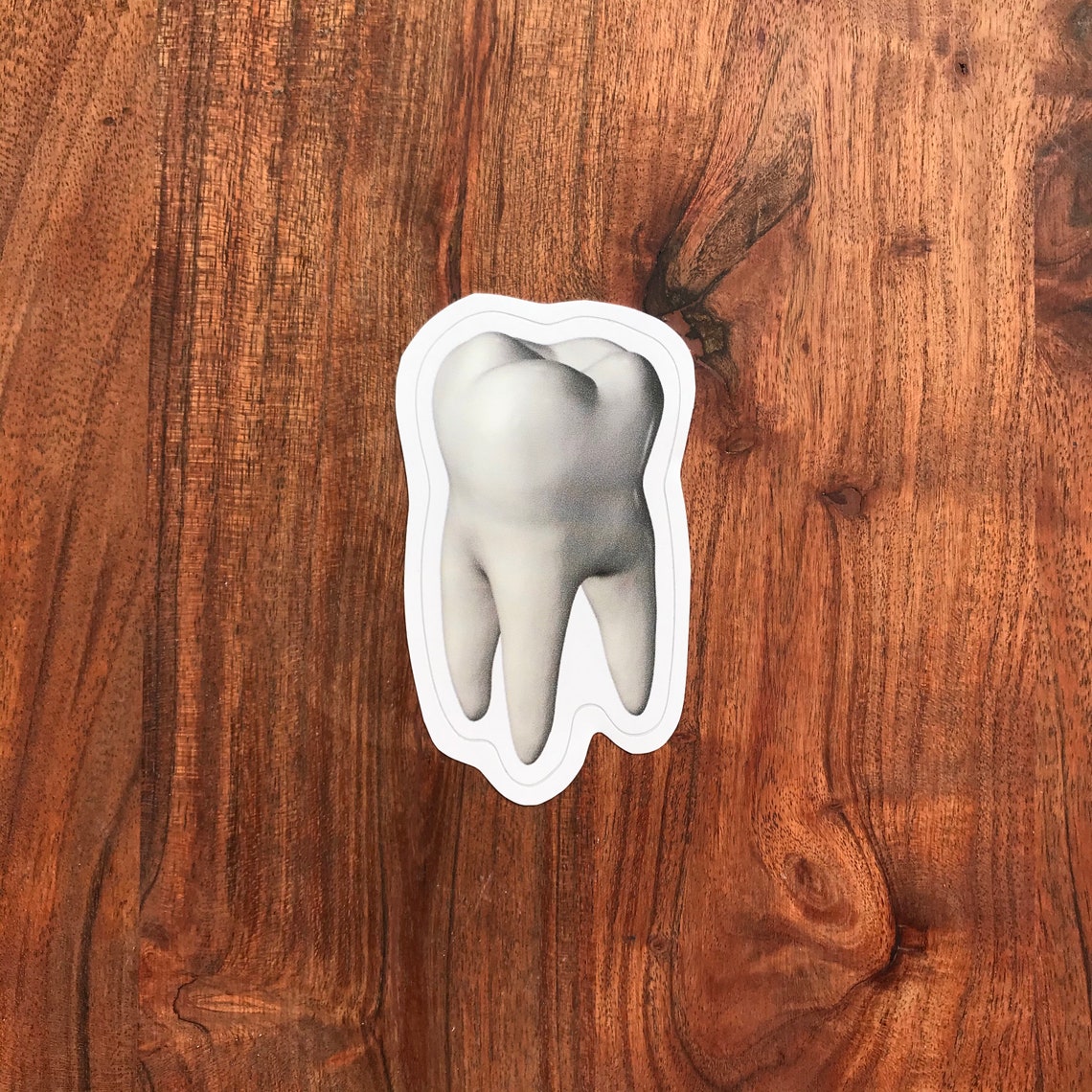 Tooth Sticker Molar Sticker Dental Sticker Laptop Sticker | Etsy
