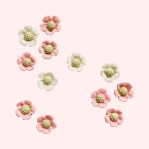 Strawberry Blossom/Edible Toppers.