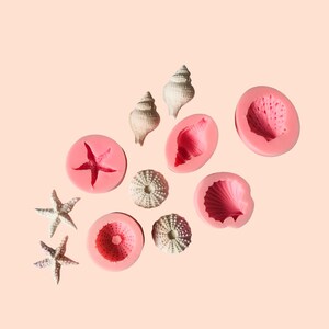 May include: A collection of seashell and starfish moulds in pink silicone, with real seashells and sea urchins. The moulds feature a starfish, conch shell, and scallop shell. The background is a solid, light peach colour.