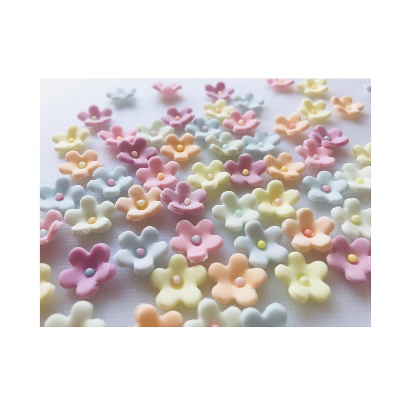 Edible Blossom/flowers. Pastels. Etsy