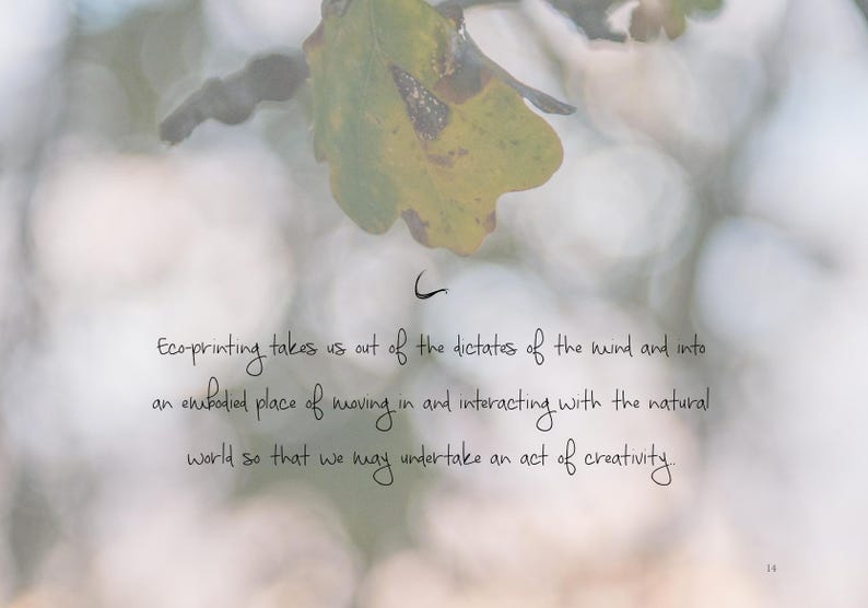 Ecoprinting on Paper Etsy Australia