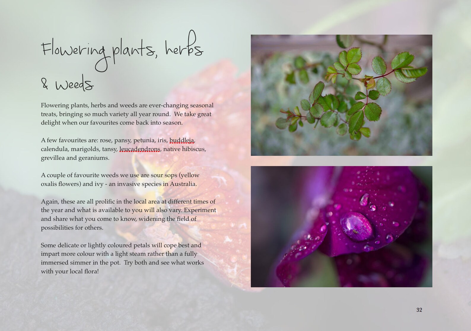 Ecoprinting on Paper Etsy Australia