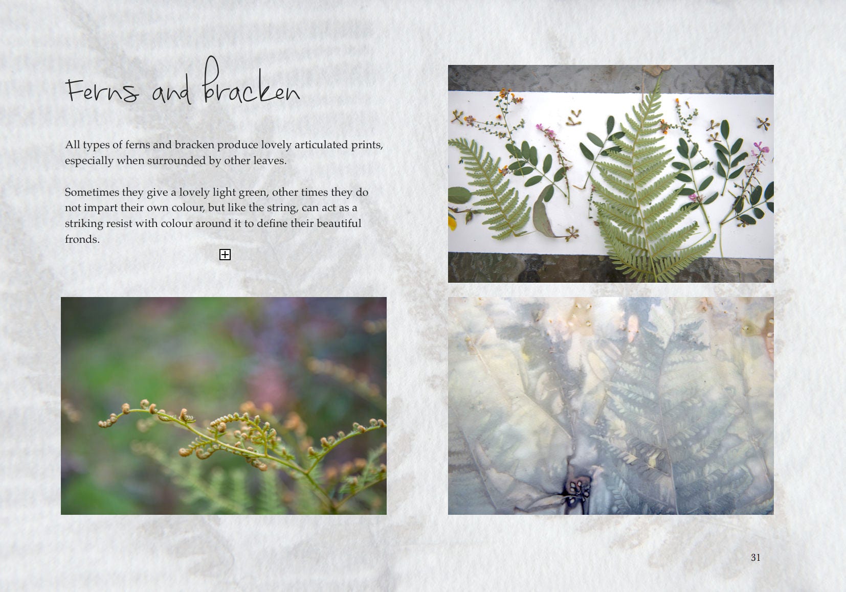 Ecoprinting on Paper Etsy Australia