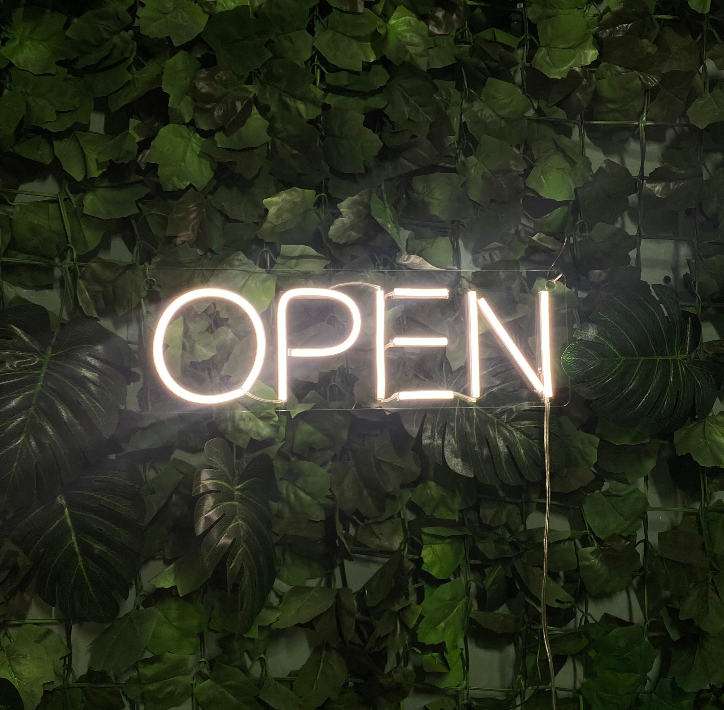 Open Closed Neon Sign Etsy