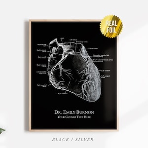 Personalized Anatomical Heart Foil Print - Human Heart Nursing Student - Nursing Graduation Gift - Cardiology Anatomy Poster