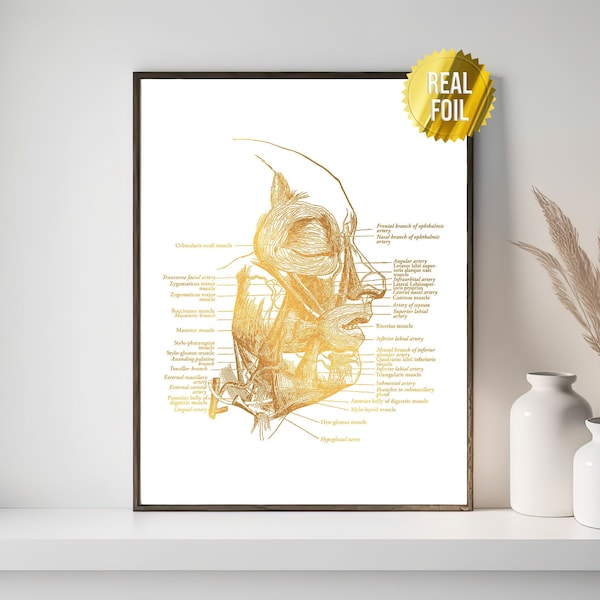 Face Anatomy Spa Decor Foil Print - Massage Therapist Gift - Esthetician Decor - Medical Art - Medical Spa - Facial Muscles Anatomy Art