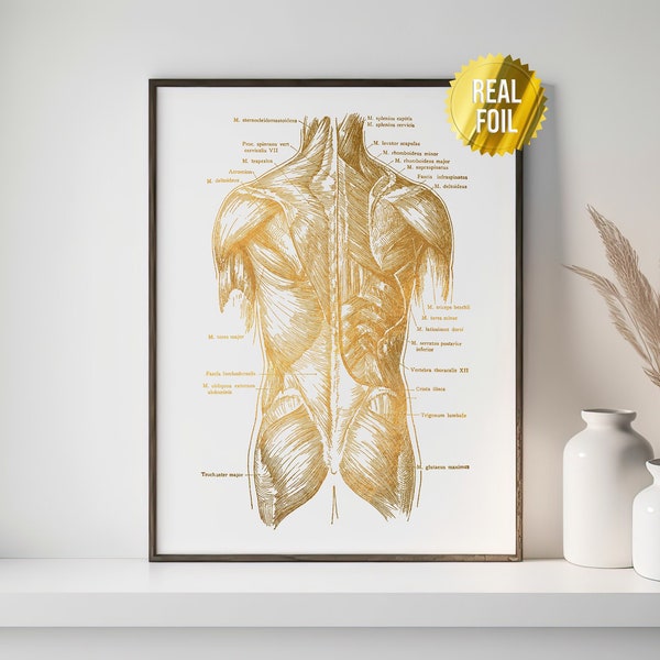 Massage Therapy Gift Human Anatomy Art Foil Print - Physical Therapist Gift - Human Body Anatomy - Human Anatomy Poster - Physical Therapy