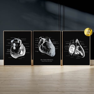 Customized Anatomical Heart Foil Print Set of 3 - Human Heart Anatomy Art - Nursing Student - Cardiology - Cardiologist Gift