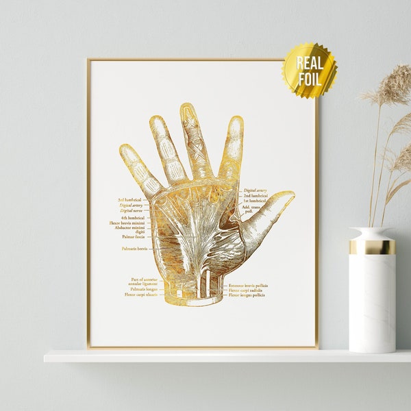 Orthopedic Surgeon Gift Hand Anatomy Foil Print - Physical Therapy Wall Art - Medical Nursing Student Graduation - Muscles and Ligaments