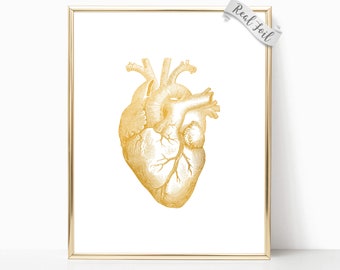 Human Heart Gold Foil Print - Anatomical Heart - Medical School - Medical Student - Med School Gifts - Medical Office Decor - Doctors Office
