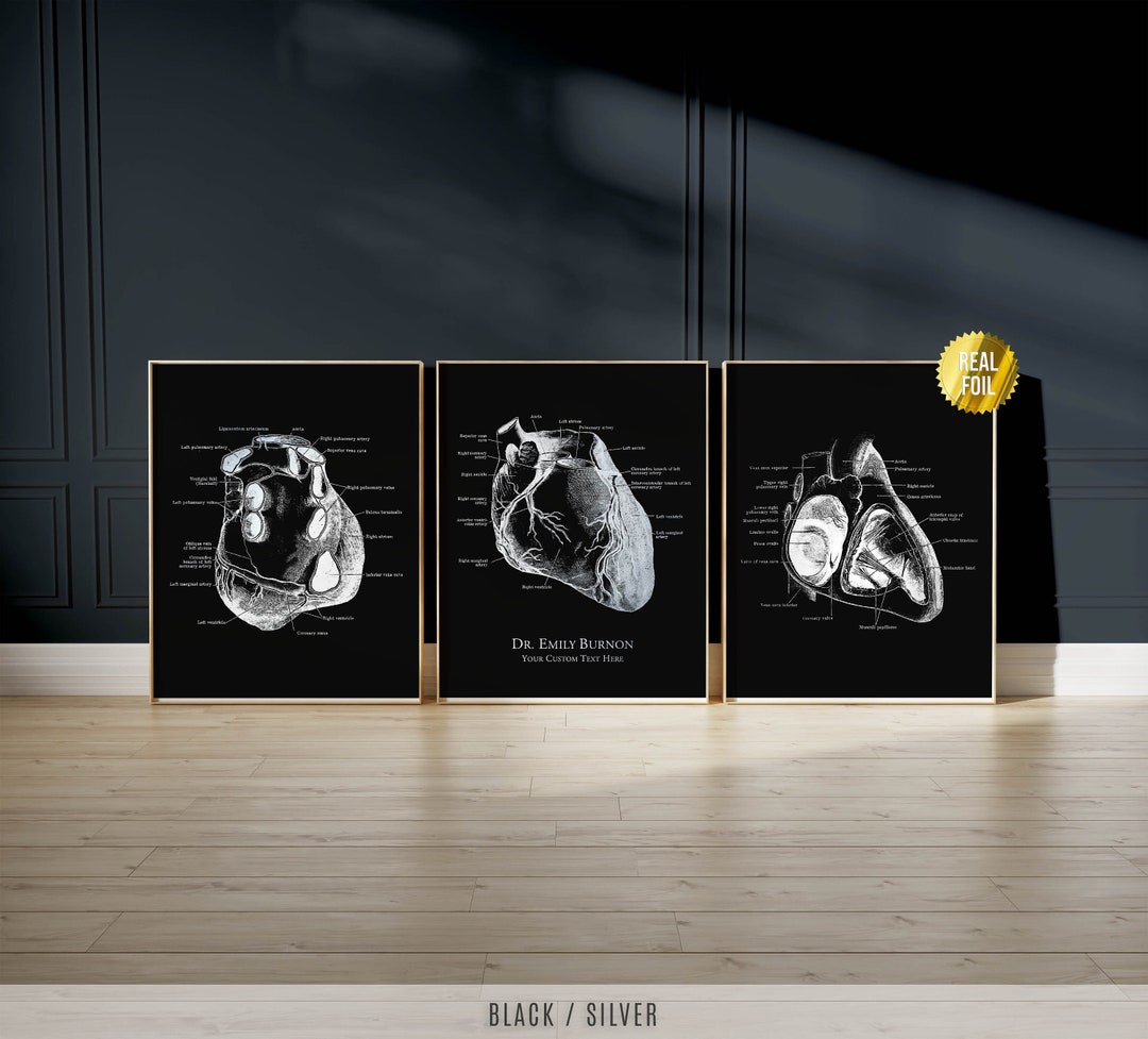 Customized Anatomical Heart Foil Print Set of 3 Human Heart Anatomy Art ...