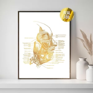 Face Anatomy Spa Decor Foil Print - Massage Therapist Gift - Esthetician Decor - Medical Art - Medical Spa - Facial Muscles Anatomy Art