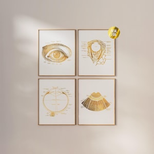 Vintage Eye Anatomy Foil Print Lot de 4 - cadeau d'optométriste - décoration de bureau d'opticien - ophtalmologie - oeil anatomique - bureau d'optométriste