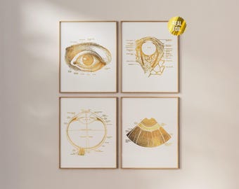 Vintage Eye Anatomy Foil Print Set of 4 - Optometrist Gift - Optician Office Decor - Ophthalmology - Anatomical Eye - Optometrist Office