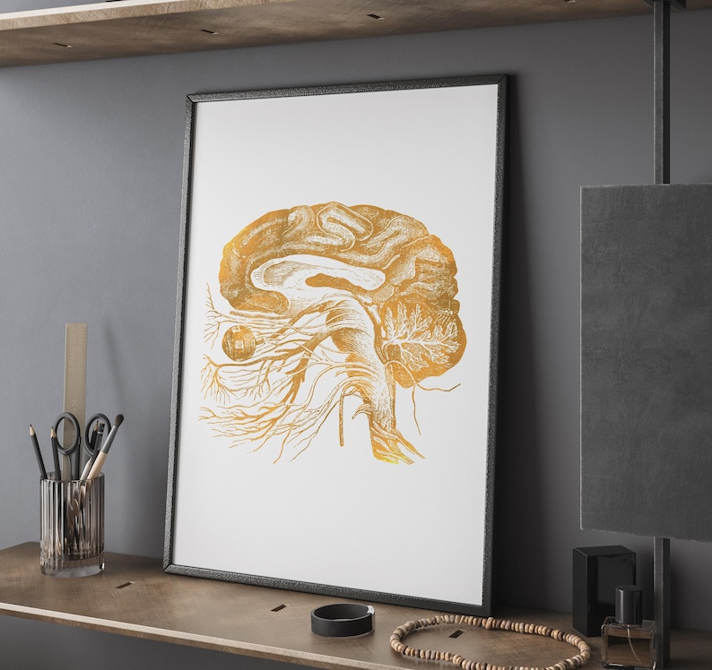 Human Brain Anatomy Foil Print - Greys Anatomy - Doctors Office Decor ...
