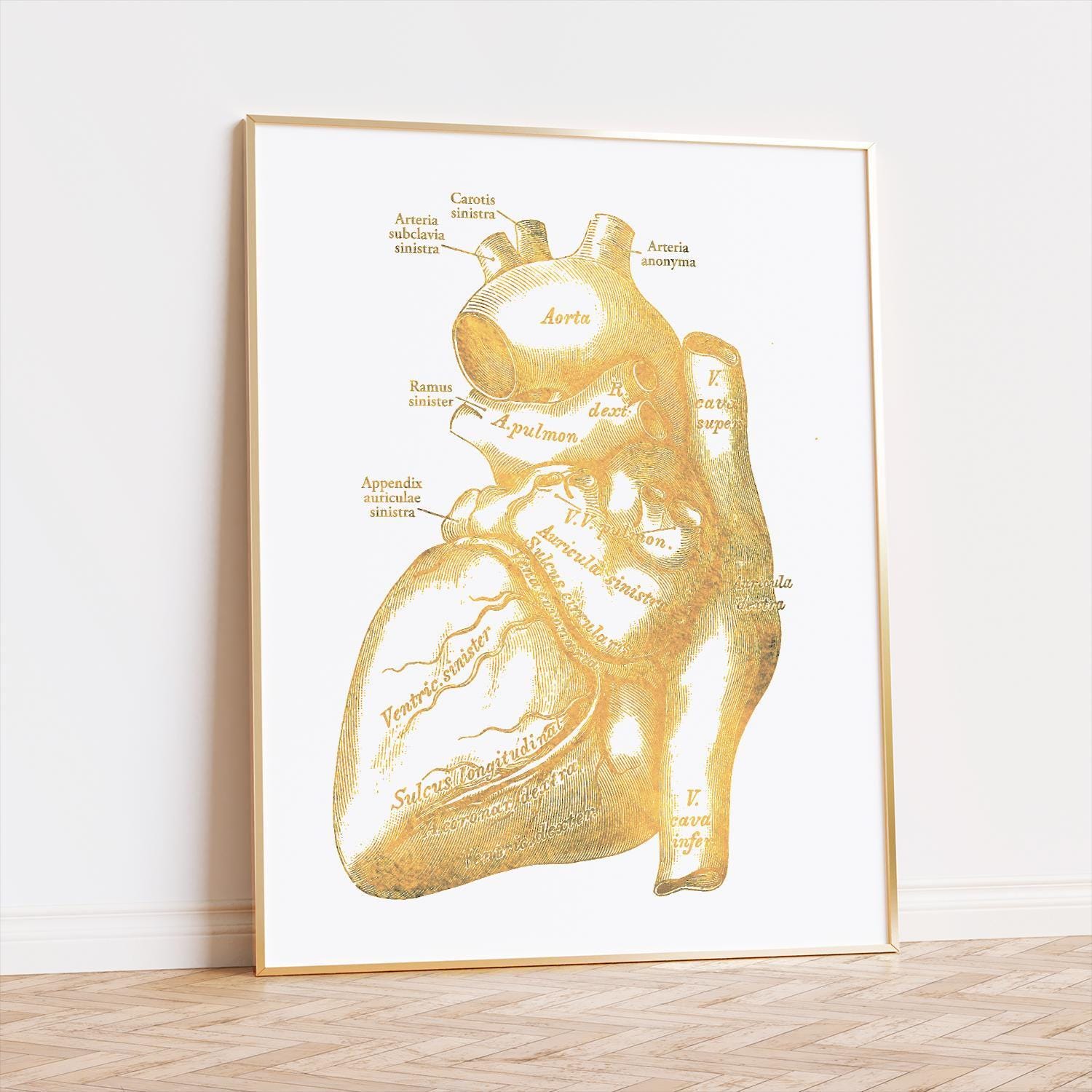 Heart Anatomy Foil Print Set of 3 - Physician Assistant Graduation ...