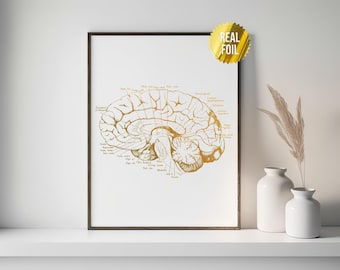 Human Brain Anatomy Art Foil Print - Nursing Student - Doctors Office Decor - Anatomy Poster - Medical Art - Medical Student Gift