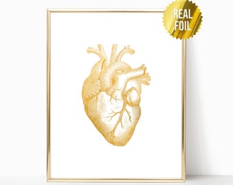 Human Heart Gold Foil Print - Anatomical Heart - Medical School - Medical Student - Med School Gifts - Medical Office Decor - Doctors Office