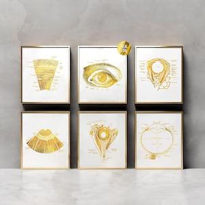 Vintage Eye Anatomy Foil Print Set of 6 - Optometrist Office Decor - Eye Clinic Anatomical Decor - Medical Student Graduation Gifts