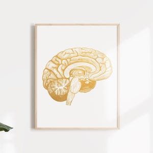 Neuroscience Art Brain Anatomy Foil Print - Medical Student Gift ...