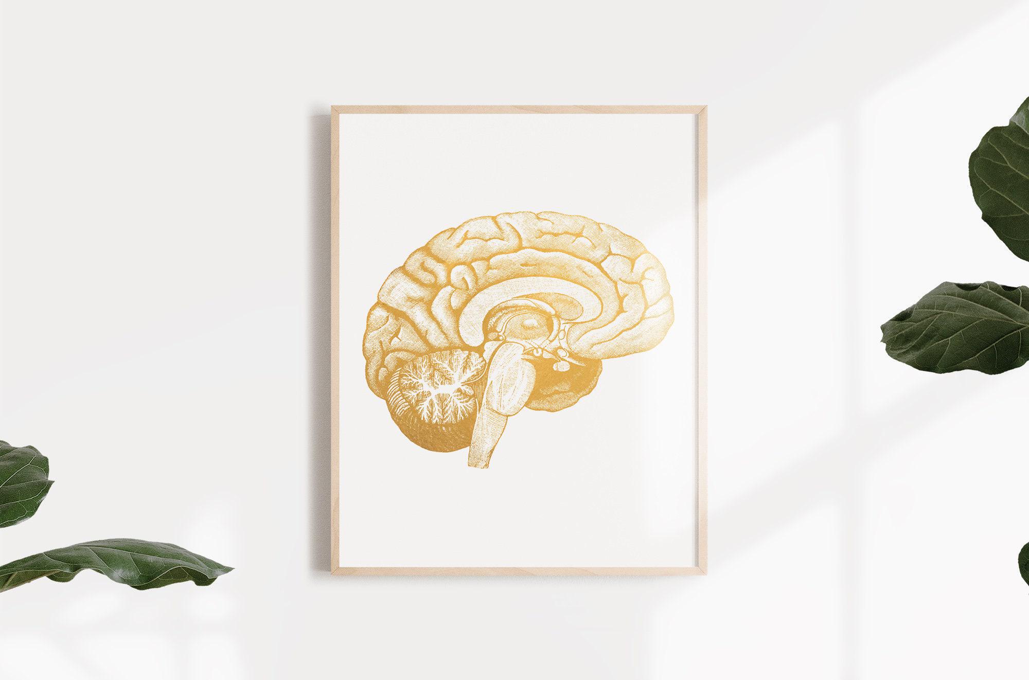 Neuroscience Art Brain Anatomy Foil Print - Medical Student Gift ...