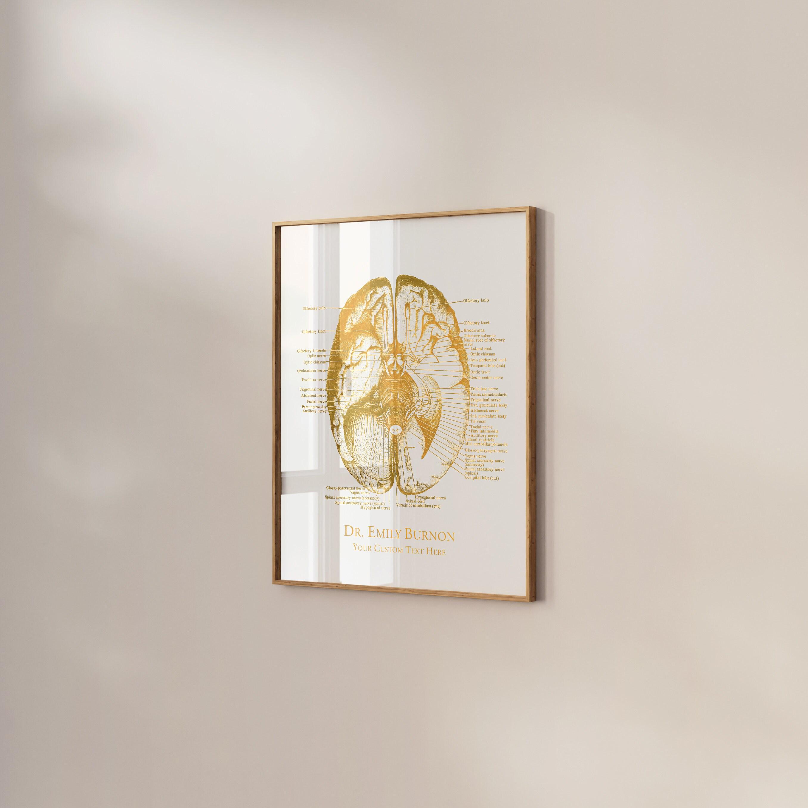 Custom Human Brain Anatomy Foil Print - Doctors Office Decor ...