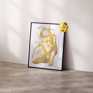 Vintage Heart Anatomy Foil Print - Nursing Student Graduation Gifts - Physician Assistant Office Decor - Medical Assistants Anatomy Art