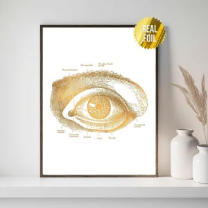 Eye Anatomy Optometrist Foil Print - Optician Office Decor - Optometry Wall Art - Vintage Anatomy Art - Ophthalmologist - Anatomical Eye