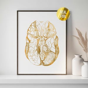 Neuroscience Art Foil Print - Human Brain Anatomy Art - Anatomy Poster - Antique Medical Art - Psychiatrist Office Decor - Psychology Office