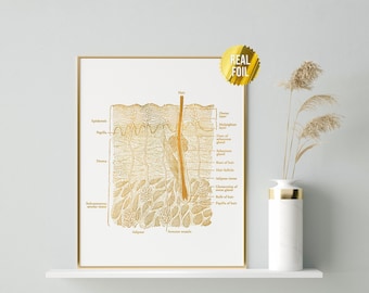 Haut Anatomie Kunst Dermatologen Geschenk Foliendruck - Hautpflege Anatomie Poster - Medizinische Kunst Anatomie Druck - Medizinstudierender Geschenk - Histologie Kunst