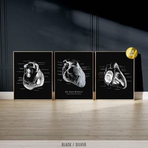 Customized Anatomical Heart Foil Print Set of 3 - Human Heart Anatomy Art - Nursing Student - Cardiology - Cardiologist Gift